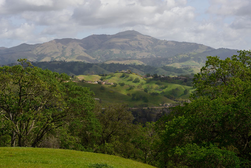 alamo landscape in california